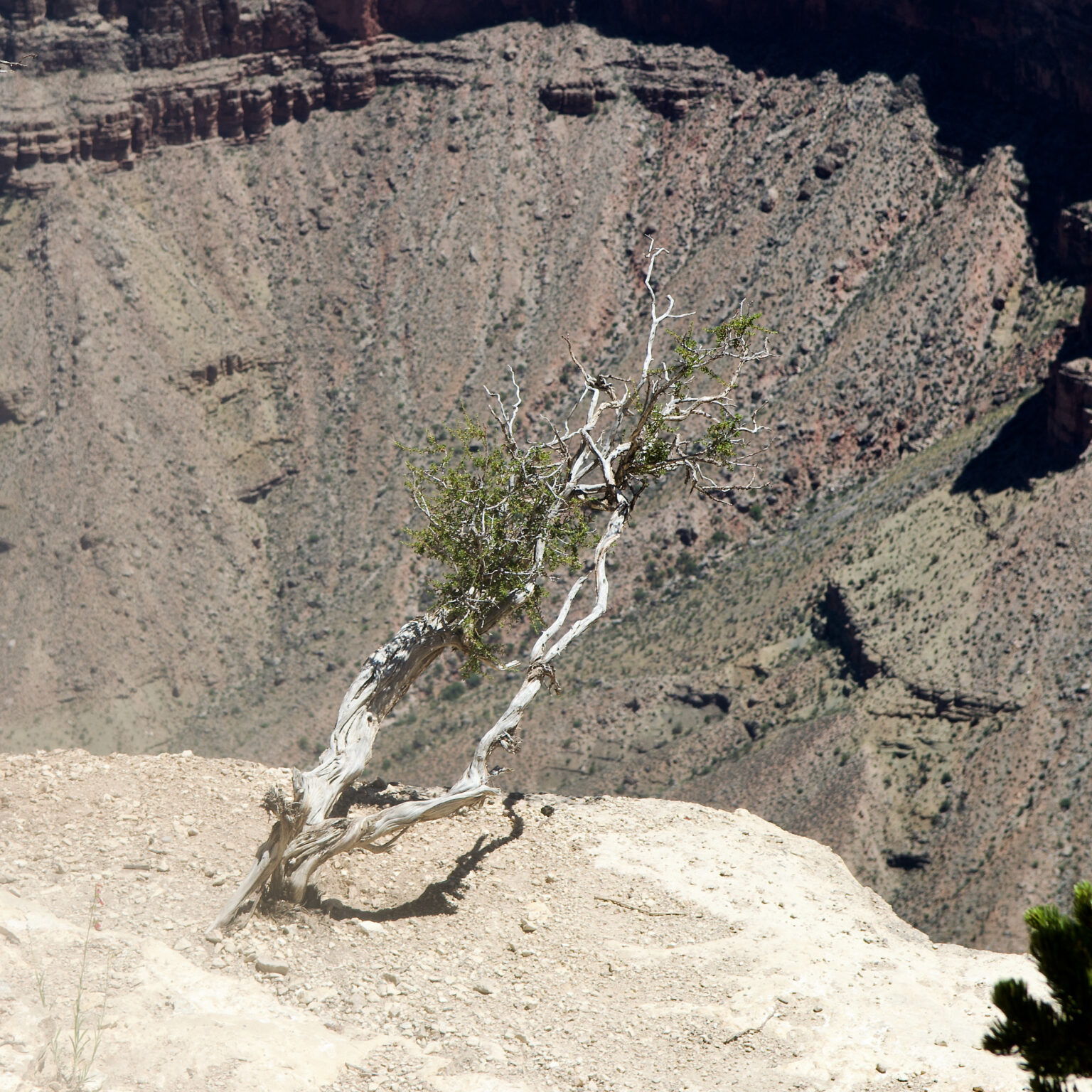 Grand Canyon, Arizona, 2023 photo: Tomasz Zdankowski